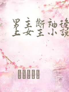 男主断袖后来爱上女主小说