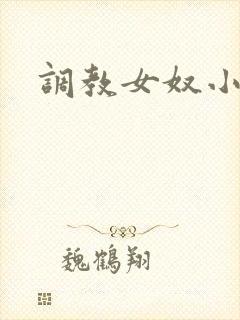 调教女奴小说网