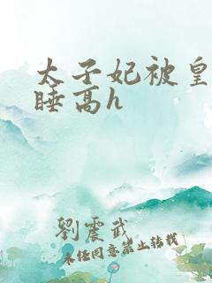 太子妃被皇上强睡高h