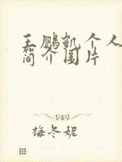 王鹏凯个人资料简介图片