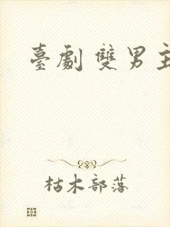 台剧 双男主