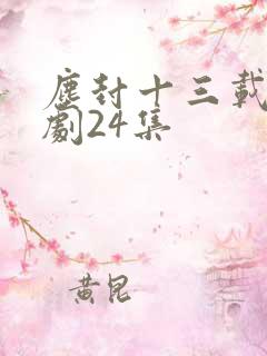 尘封十三载电视剧24集