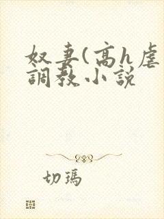 奴妻(高h虐身调教小说