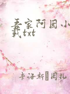 吾家阿囡小说下载txt