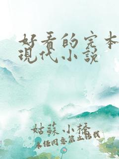 好看的完本言情现代小说