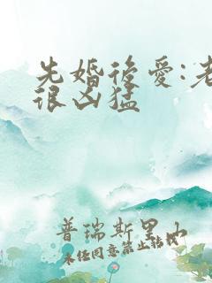 先婚后爱:老公很凶猛