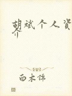 胡斌个人资料简介