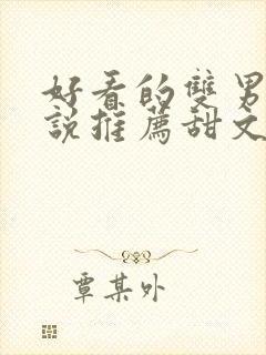 好看的双男主小说推荐甜文