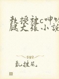 教授被c呻吟双腿大张小说