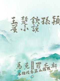 王楚钦孙颖莎甜蜜小说