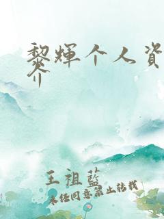 黎辉个人资料简介