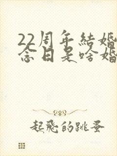 22周年结婚纪念日是啥婚