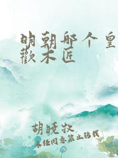 明朝哪个皇帝喜欢木匠