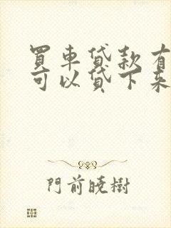 买车贷款有网贷可以贷下来吗