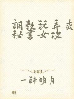 调教玩弄爽哭男秘书女攻