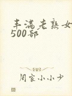 丰满老熟女乱淫500部