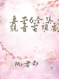 妻子6全集免费观看电视剧第11集