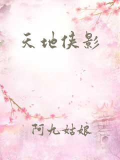 天地侠影