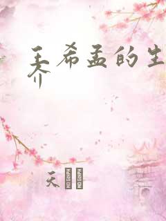 王希孟的生平简介