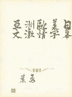 亚洲欧美日韩中文激情字幕