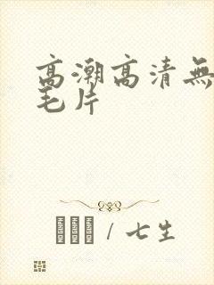 高潮高清无遮挡毛片