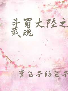 斗罗大陆之三生武魂