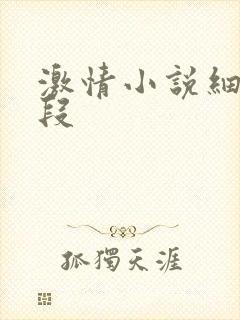 激情小说细节片段