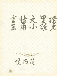 言情文里撩直男主角小说免费阅读辞玖