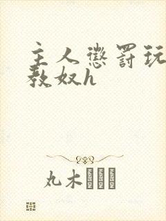 主人惩罚玩弄调教奴h