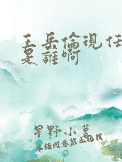 王岳伦现任妻子是谁啊