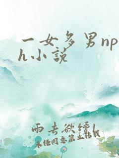 一女多男np高h小说