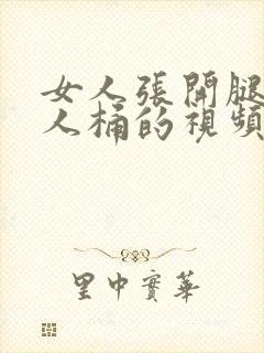 女人张开腿让男人桶的视频