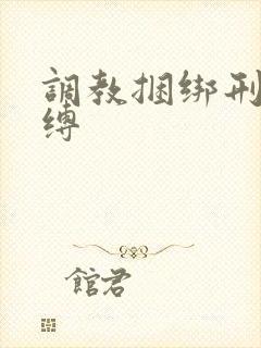 调教捆绑刑具束缚