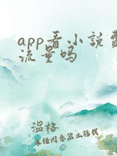 app看小说费流量吗