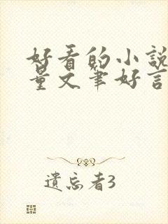 好看的小说高质量文笔好言情