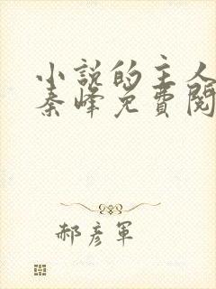 小说的主人公叫秦峰免费阅读