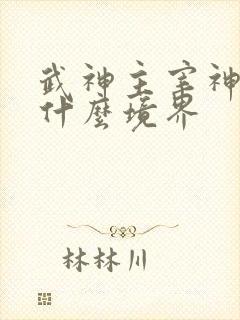 武神主宰神帝是什么境界