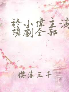 于小伟主演的电视剧全部