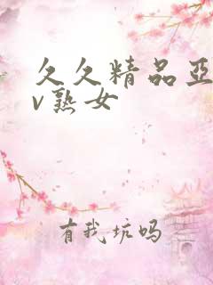 久久精品亚洲av熟女