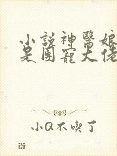 小说神医娘亲她是团宠大佬txt