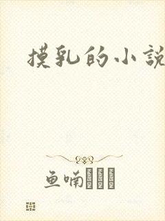 摸乳的小说