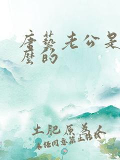 唐艺老公是干什么的