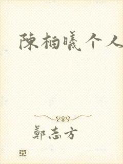 陈柏曦个人简介