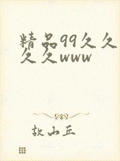 精品99久久久久久www