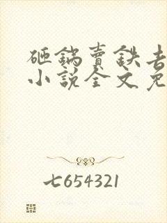 砸锅卖铁去上学小说全文免费阅读无弹窗