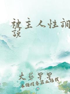 被主人性调教小说