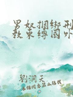 男奴捆绑刑具调教束缚国外