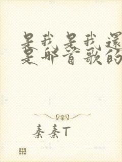 是我是我还是我是哪首歌的歌词