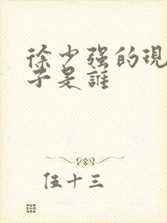 徐少强的现任妻子是谁