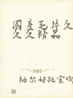 国产毛片久久久久久精品